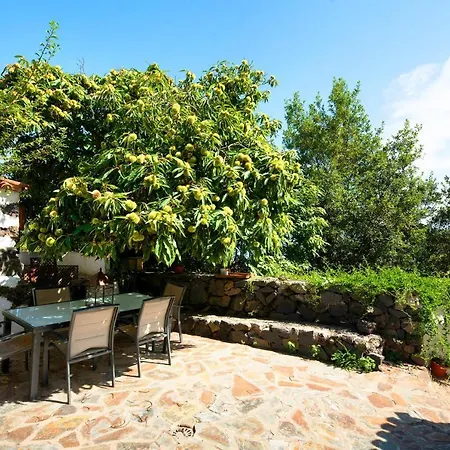 Casa de Férias Eritia Icod De Los Vinos